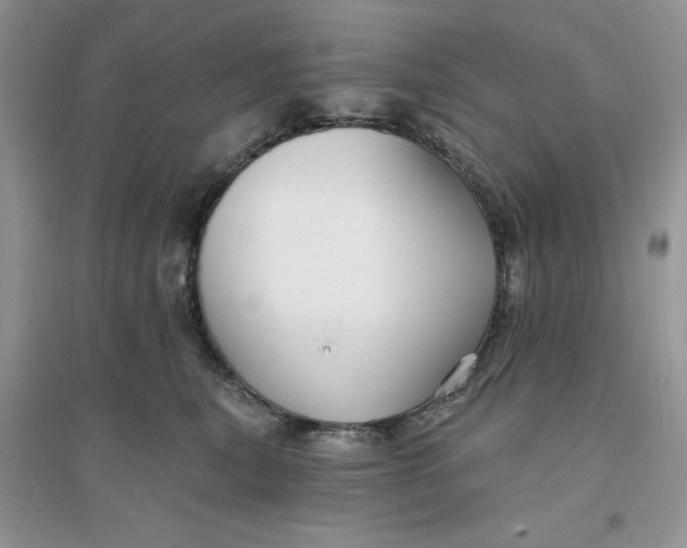 X0000096170567200802081414