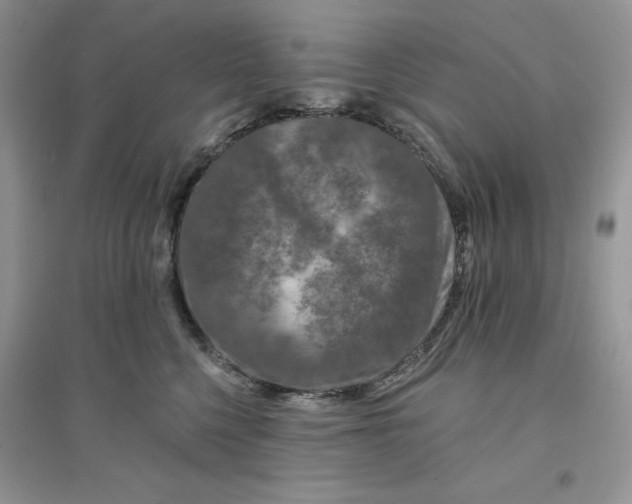 X0000096170568200802081414