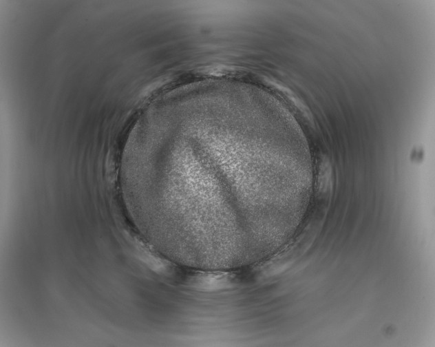 X0000096170569200802081414