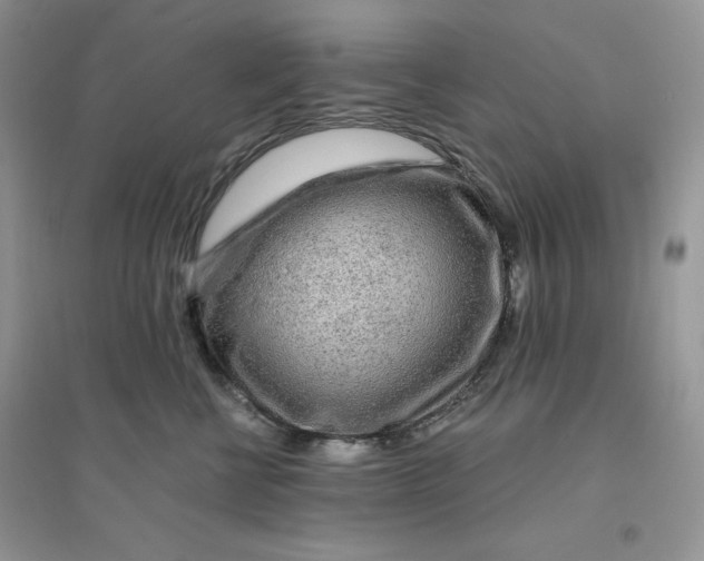 X0000096170570200802081414