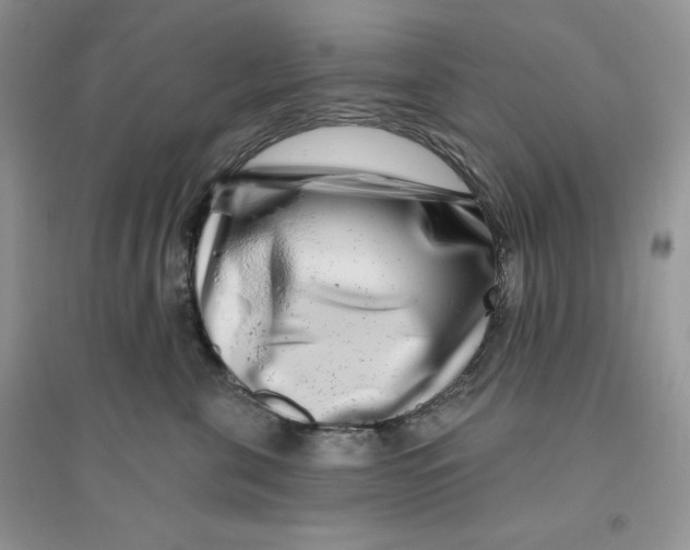 X0000096170571200802081414