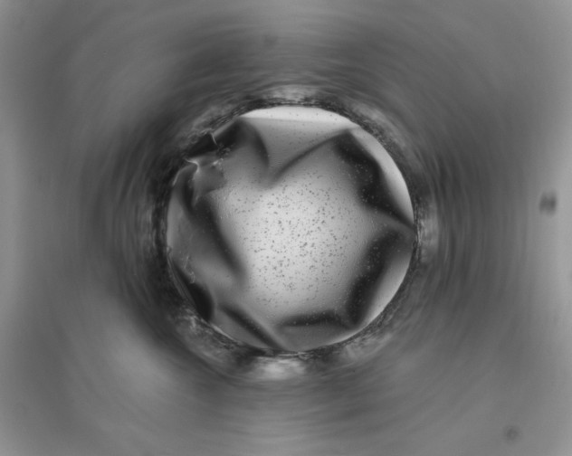 X0000096170572200802081414