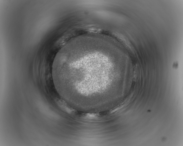 X0000096170573200802081414