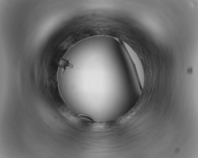 X0000096170574200802081414