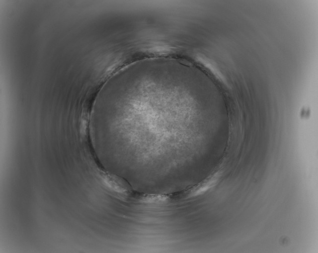 X0000096170576200802081414