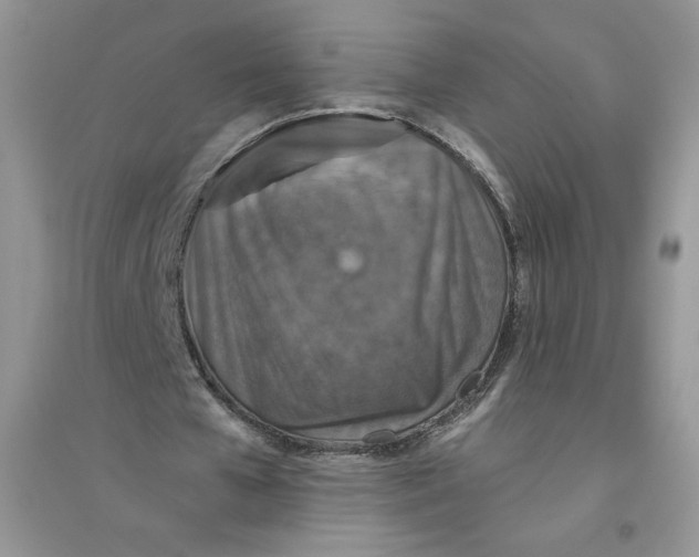 X0000096170577200802081413