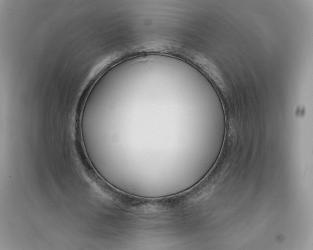 X0000096170578200802081413