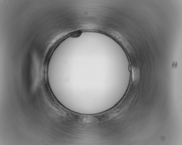 X0000096170579200802081413