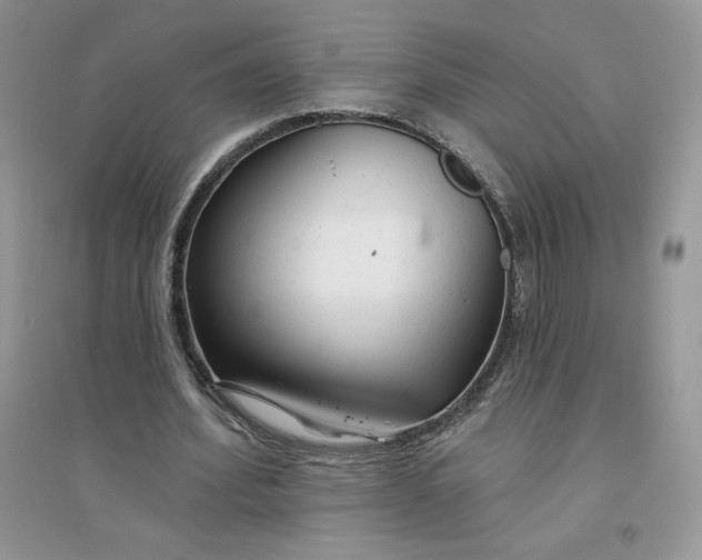 X0000096170580200802081413