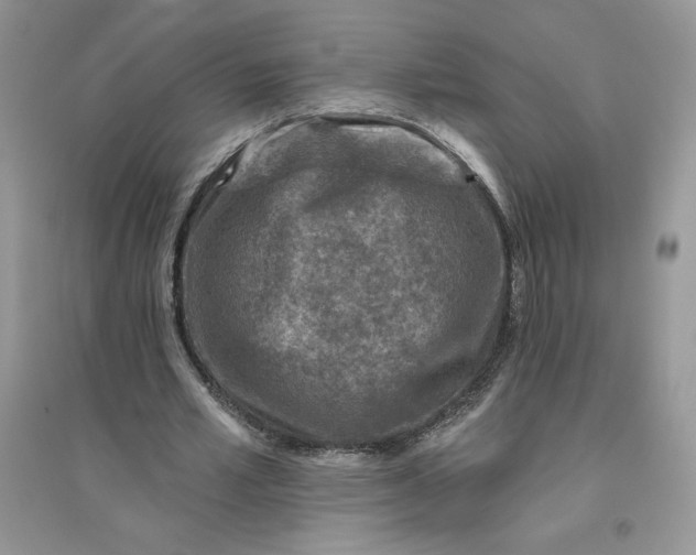 X0000096170581200802081413