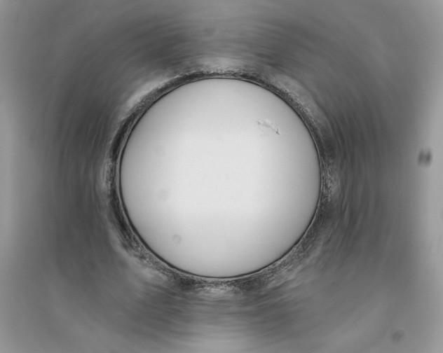 X0000096170583200802081413