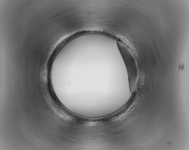 X0000096170584200802081413