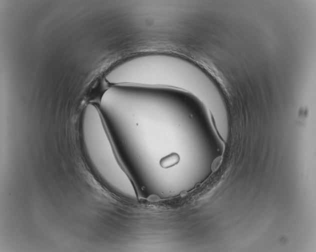 X0000096170585200802081413