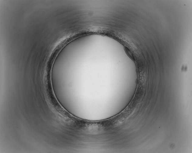 X0000096170587200802081413