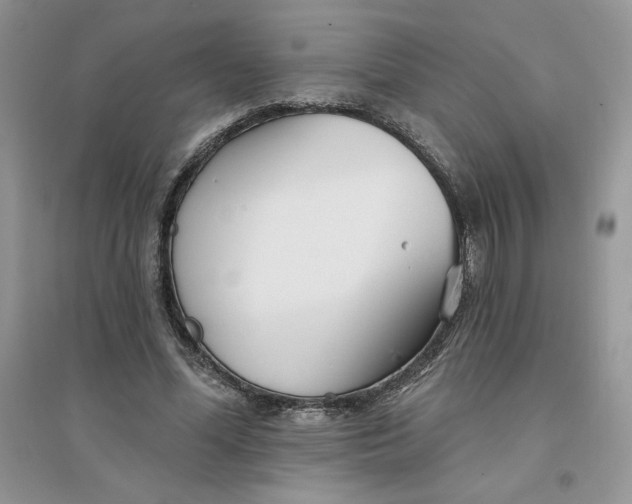 X0000096170588200802081413