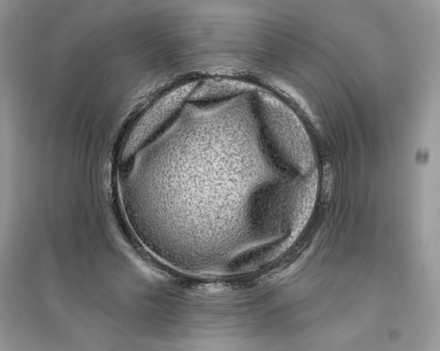 X0000096170589200802081413