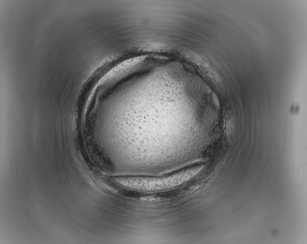 X0000096170591200802081413