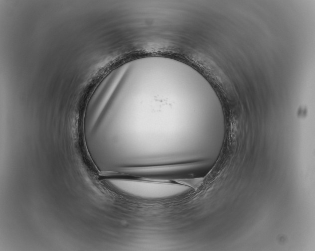 X0000096170592200802081413