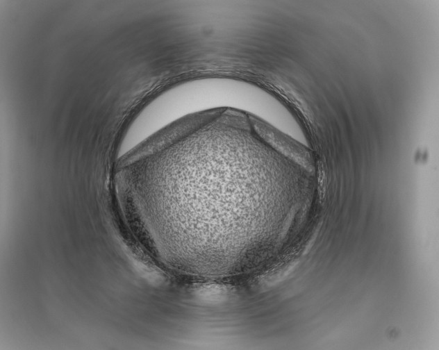 X0000096170593200802081413