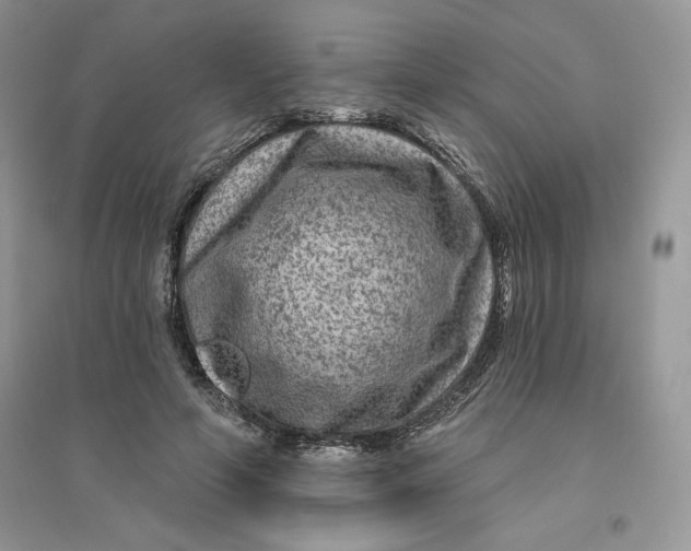 X0000096170594200802081413