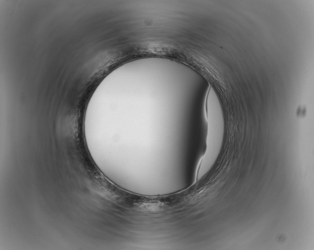 X0000096170595200802081413