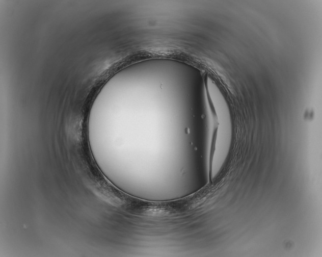 X0000096170596200802081413