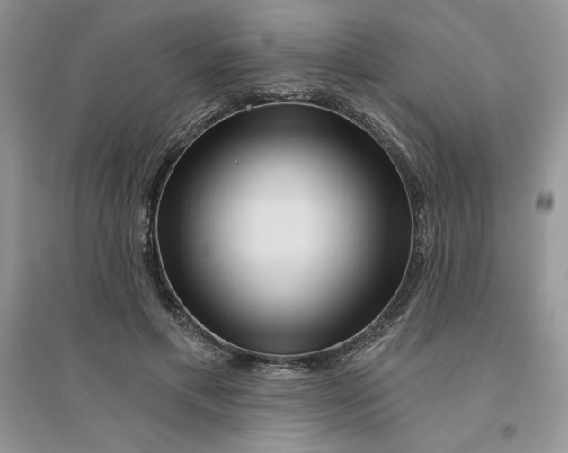 X0000096170597200802081413