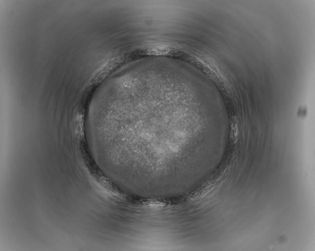 X0000096170598200802081413