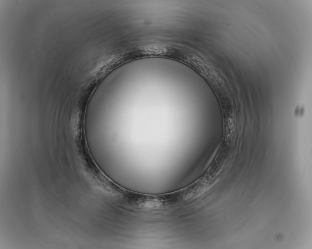 X0000096170600200802081413