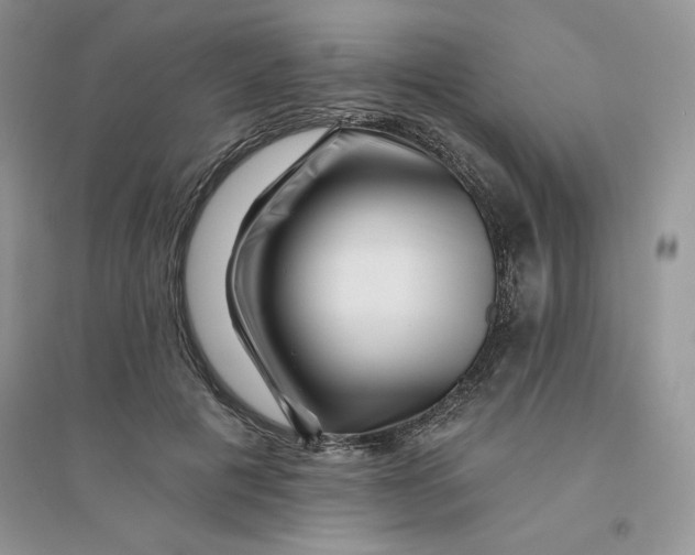 X0000096170601200802081413