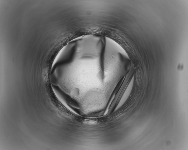 X0000096170602200802081413