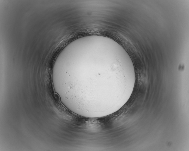 X0000096170603200802081413