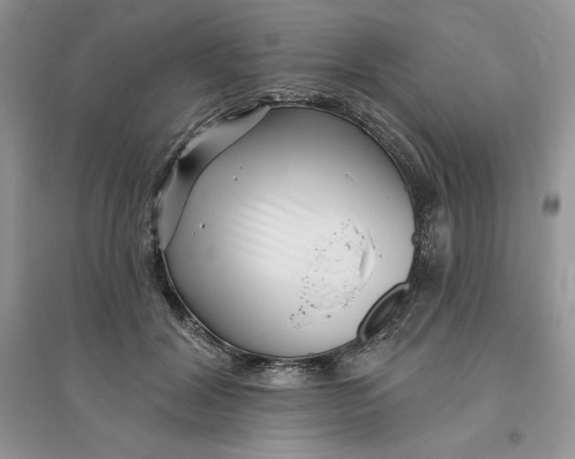 X0000096170604200802081413