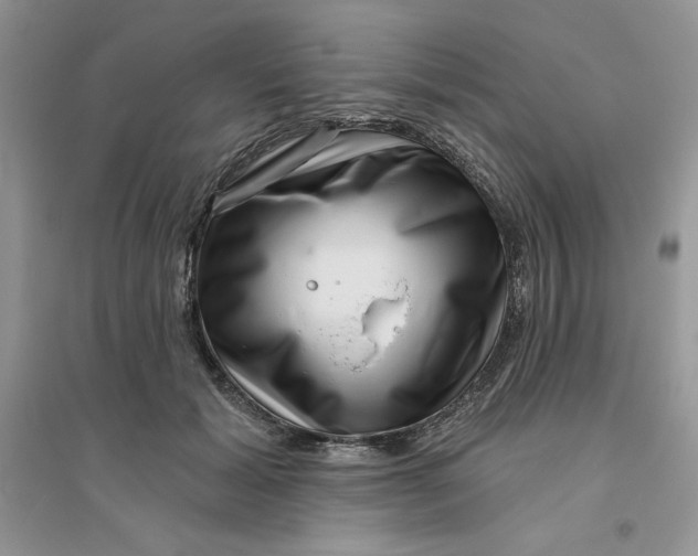 X0000096170605200802081413