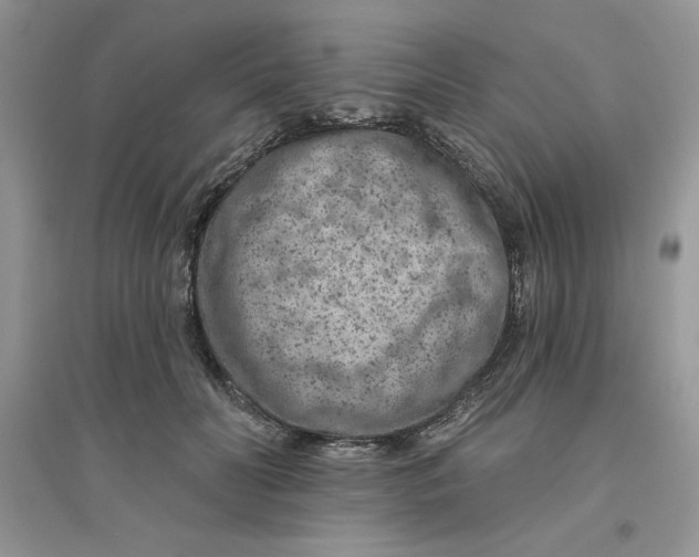 X0000096170606200802081413