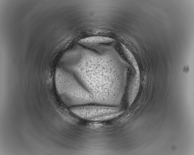 X0000096170607200802081413