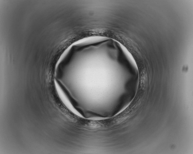 X0000096170608200802081413