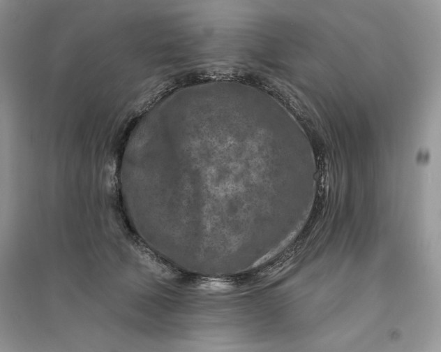 X0000096170610200802081413