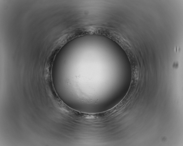 X0000096170611200802081413