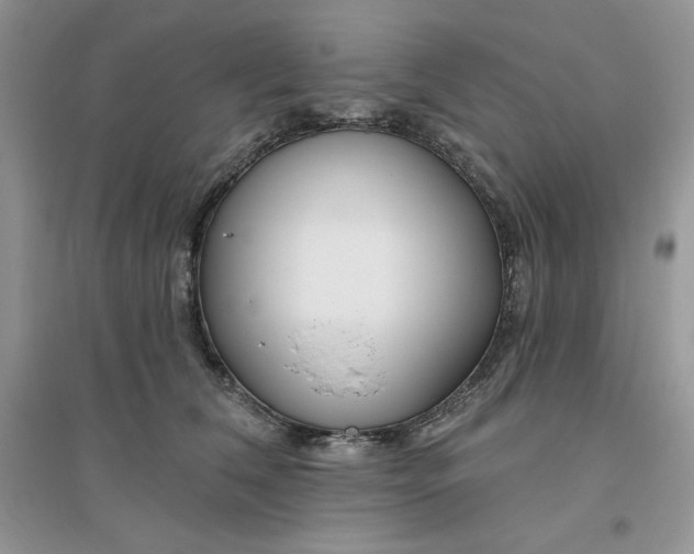 X0000096170612200802081413