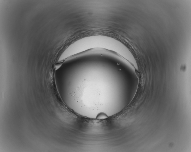 X0000096170613200802081413