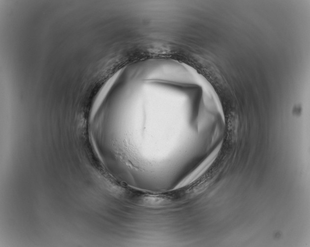 X0000096170614200802081413