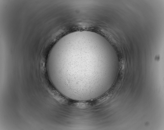 X0000096170615200802081413