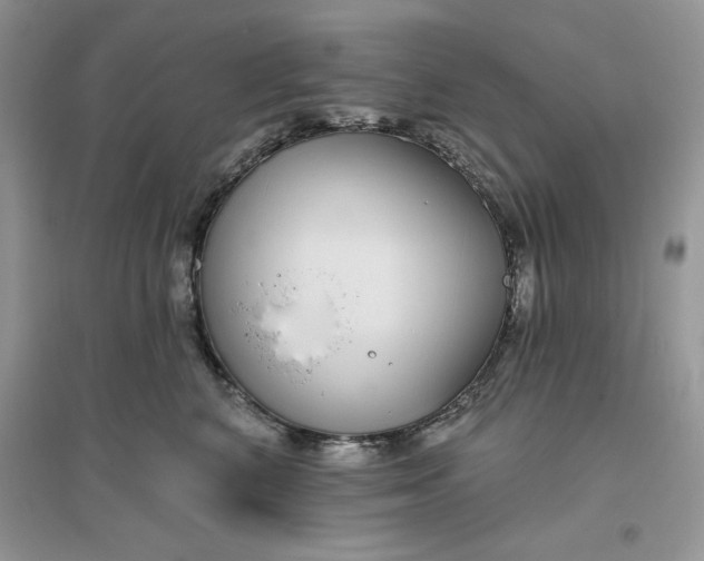 X0000096170616200802081413