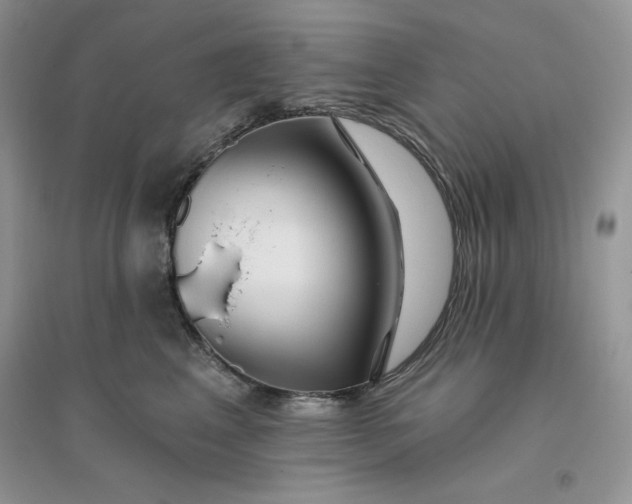 X0000096170617200802081413