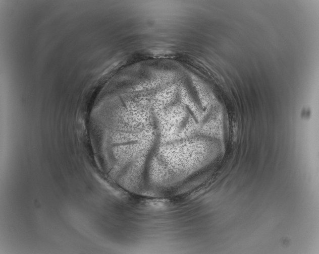 X0000096170618200802081413