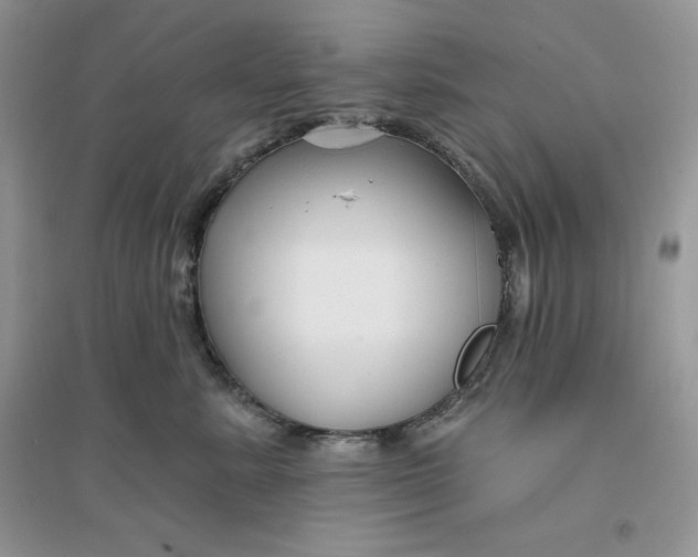 X0000096170619200802081413