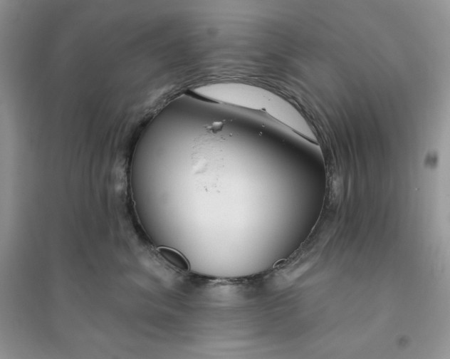 X0000096170620200802081413