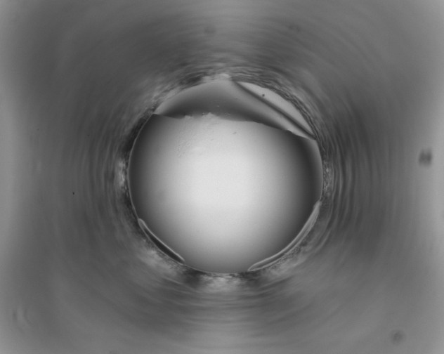 X0000096170621200802081413