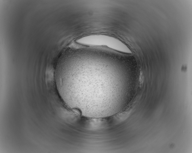 X0000096170623200802081413